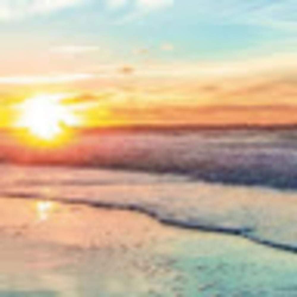 Meet your Posher, Paige